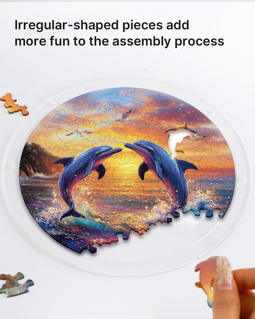 💥May Grand Sale|Up to 60% Off💥Dolphin Love Song Light Suncatcher-Acrylic Window Art