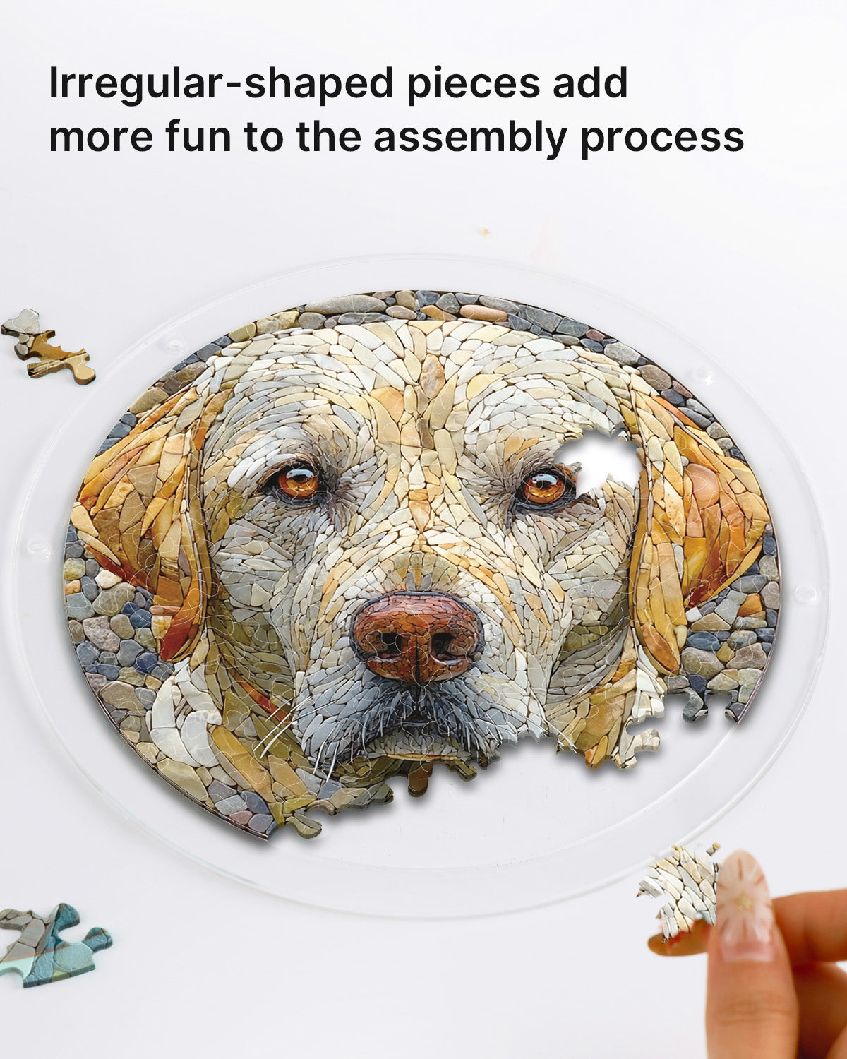 💥May Grand Sale|Up to 60% Off💥Stone Dog Light Suncatcher-Acrylic Window Art