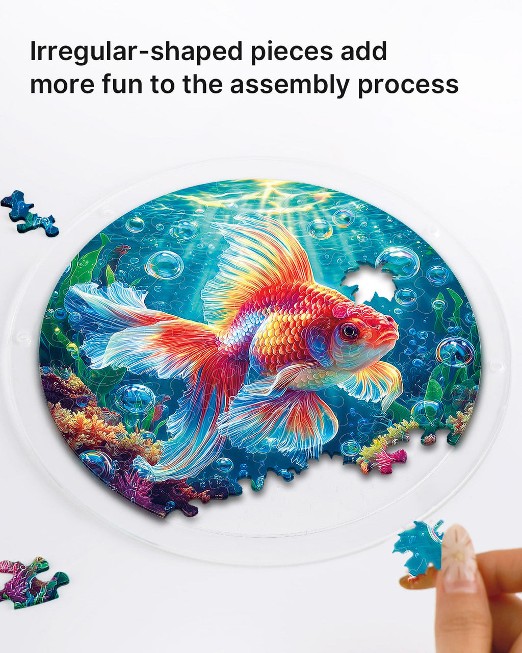 💥May Grand Sale|Up to 60% Off💥Starflame Goldfish Light Suncatcher-Acrylic Window Art
