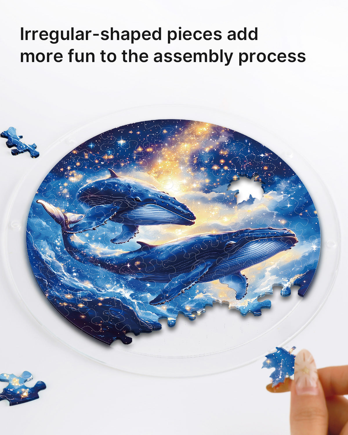 💥May Grand Sale|Up to 60% Off💥Twin Whales of the Cosmos Light Suncatcher-Acrylic Window Art