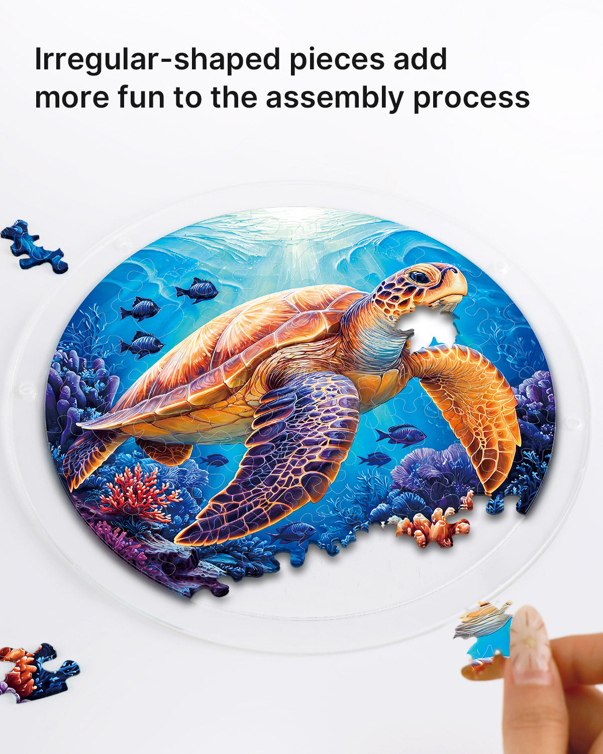 💥May Grand Sale|Up to 60% Off💥Starsea Turtle Light Suncatcher-Acrylic Window Art