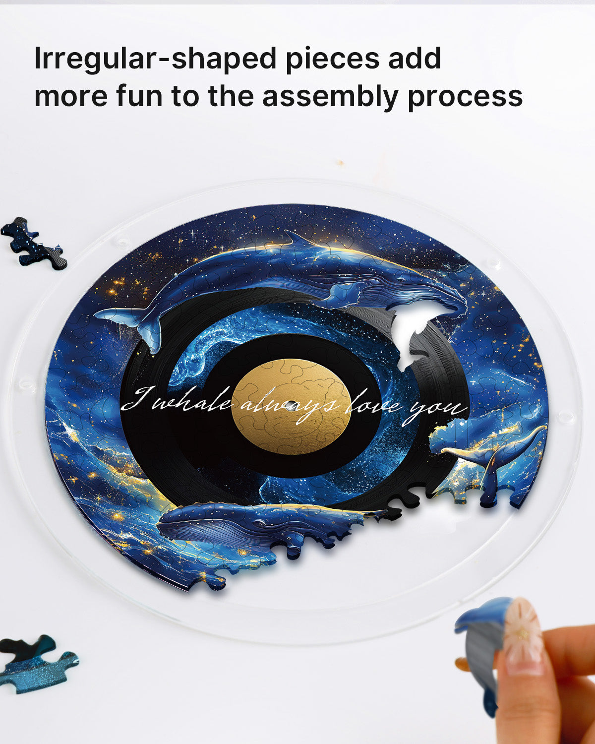 💥May Grand Sale|Up to 60% Off💥Galactic Whale Dream Light Suncatcher-Acrylic Window Art