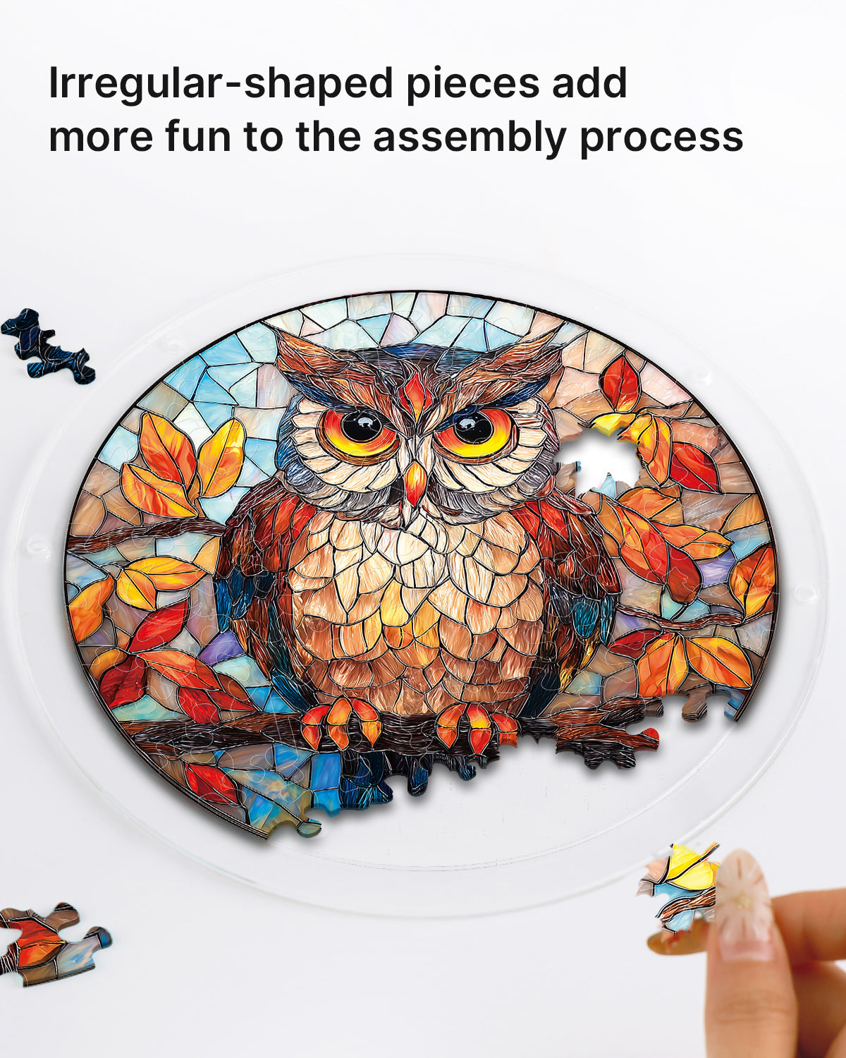 💥May Grand Sale|Up to 60% Off💥Autumn Owl Light Suncatcher-Acrylic Window Art